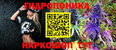 марихуана Кингисепп