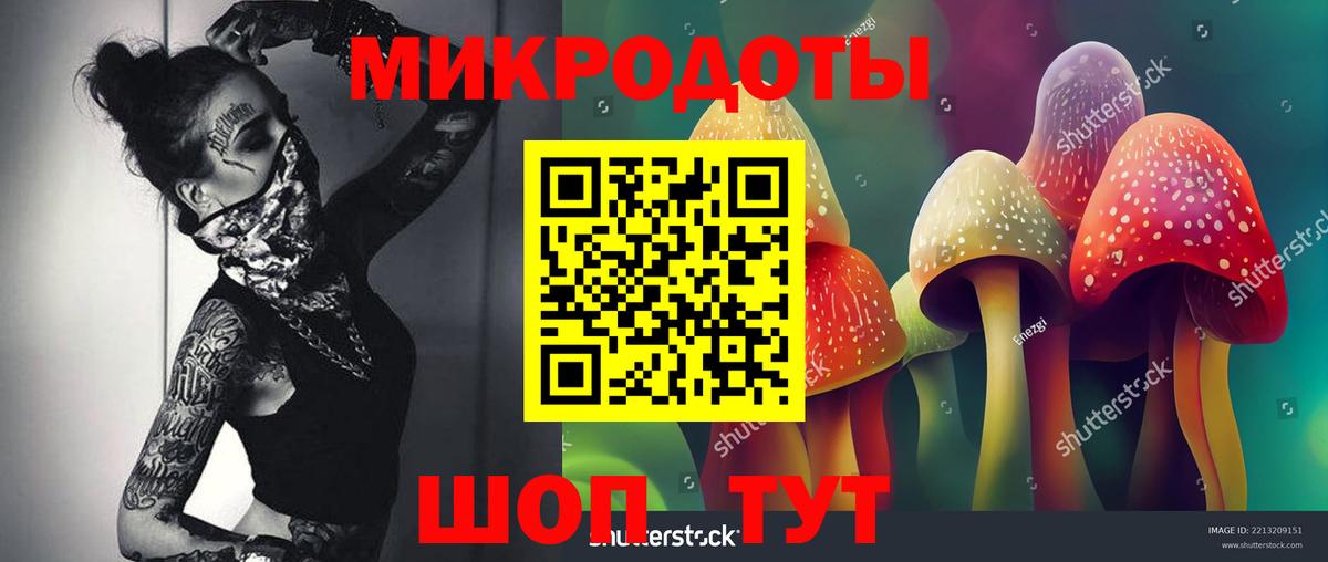 Псилоцибиновые грибы мицелий Барабинск